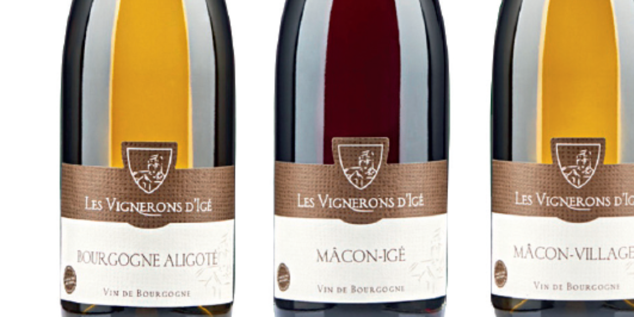 En route vers le bio avec les Vignerons d’Igé