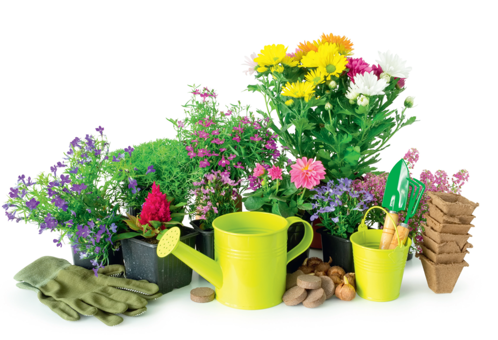 Le concours des maisons et jardins fleuris