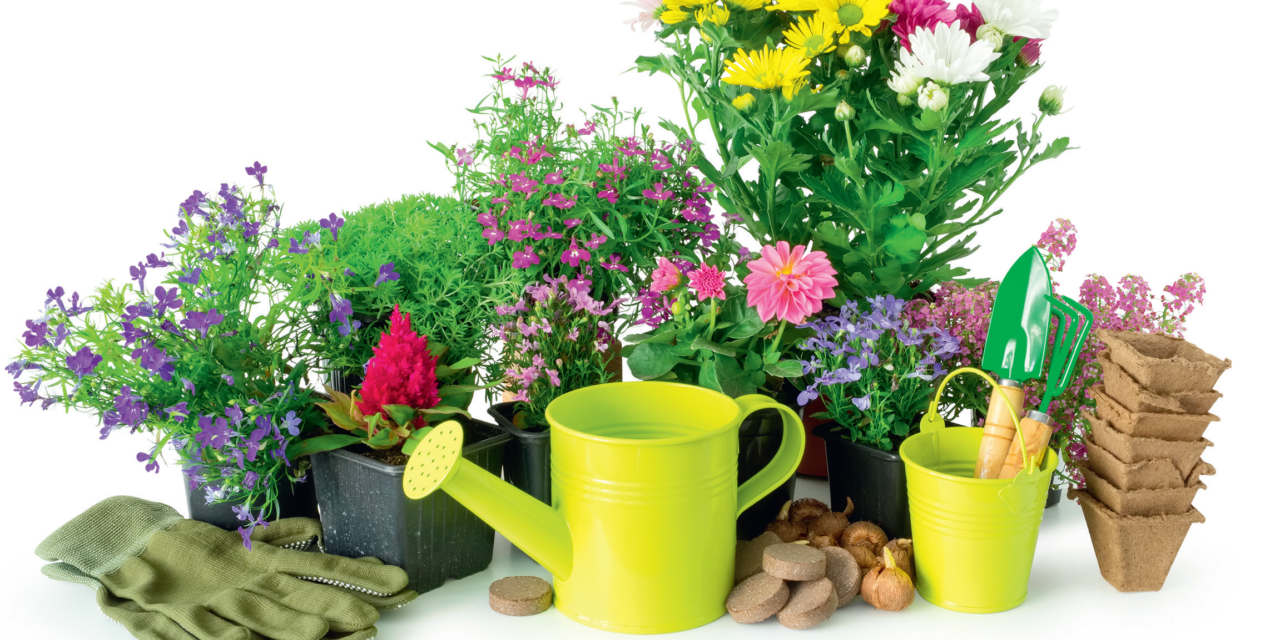 Le concours des maisons et jardins fleuris,