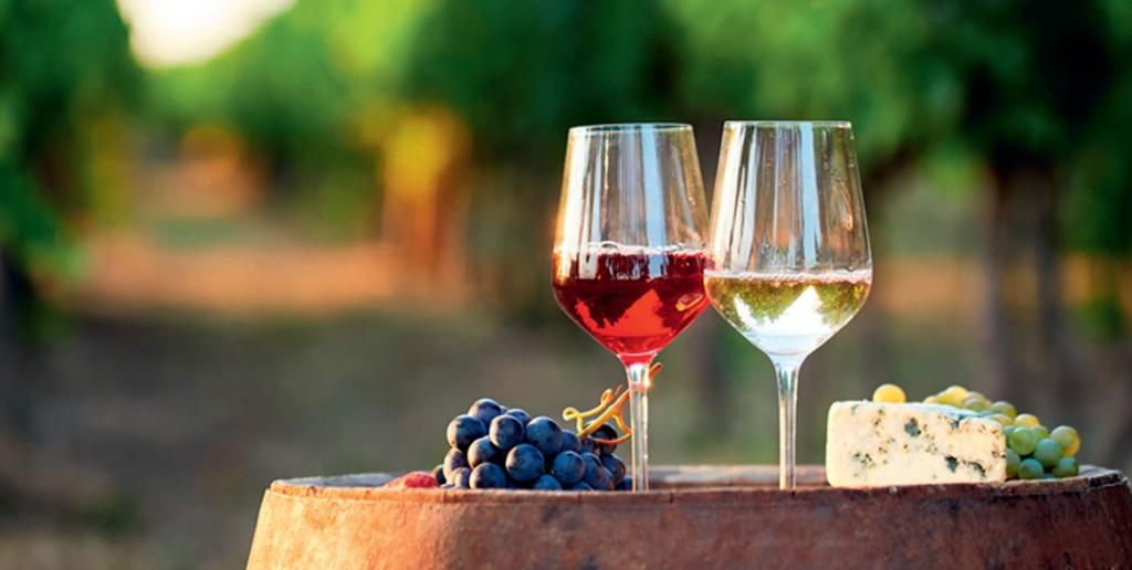 salon des vins de france macon 1