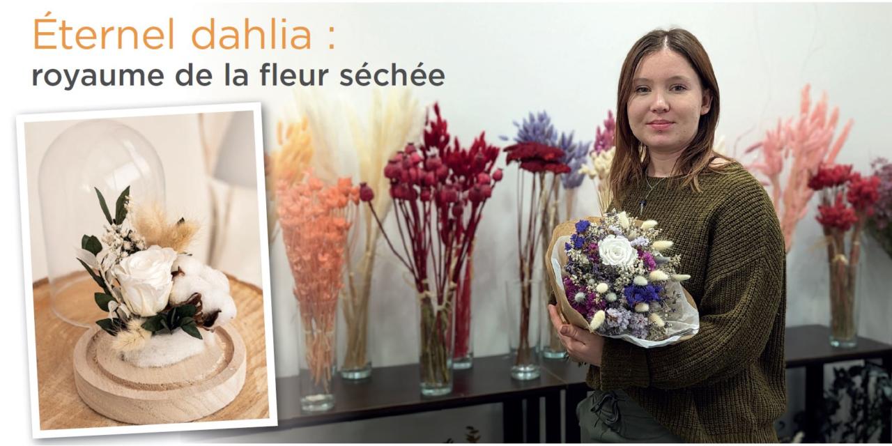 Éternel dahlia : royaume de la fleur séchée
