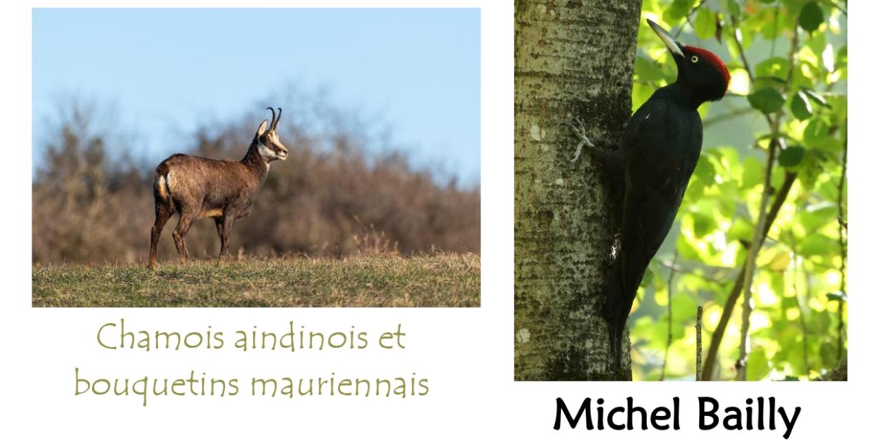 Exposition photos à Clessé !