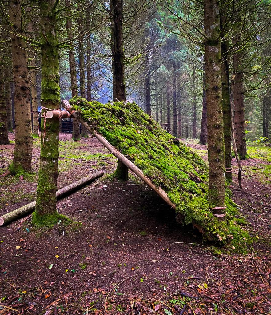 sport terra belizium foret