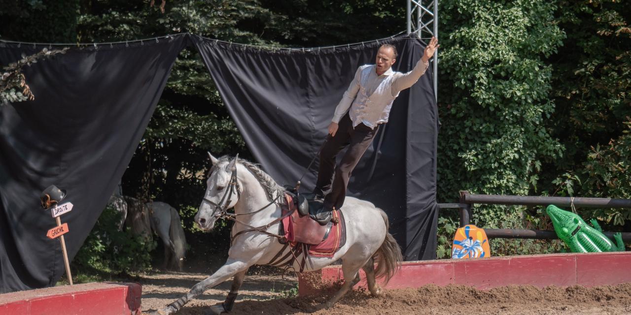 Le Haras de Cluny présente son spectacle d&rsquo;hiver