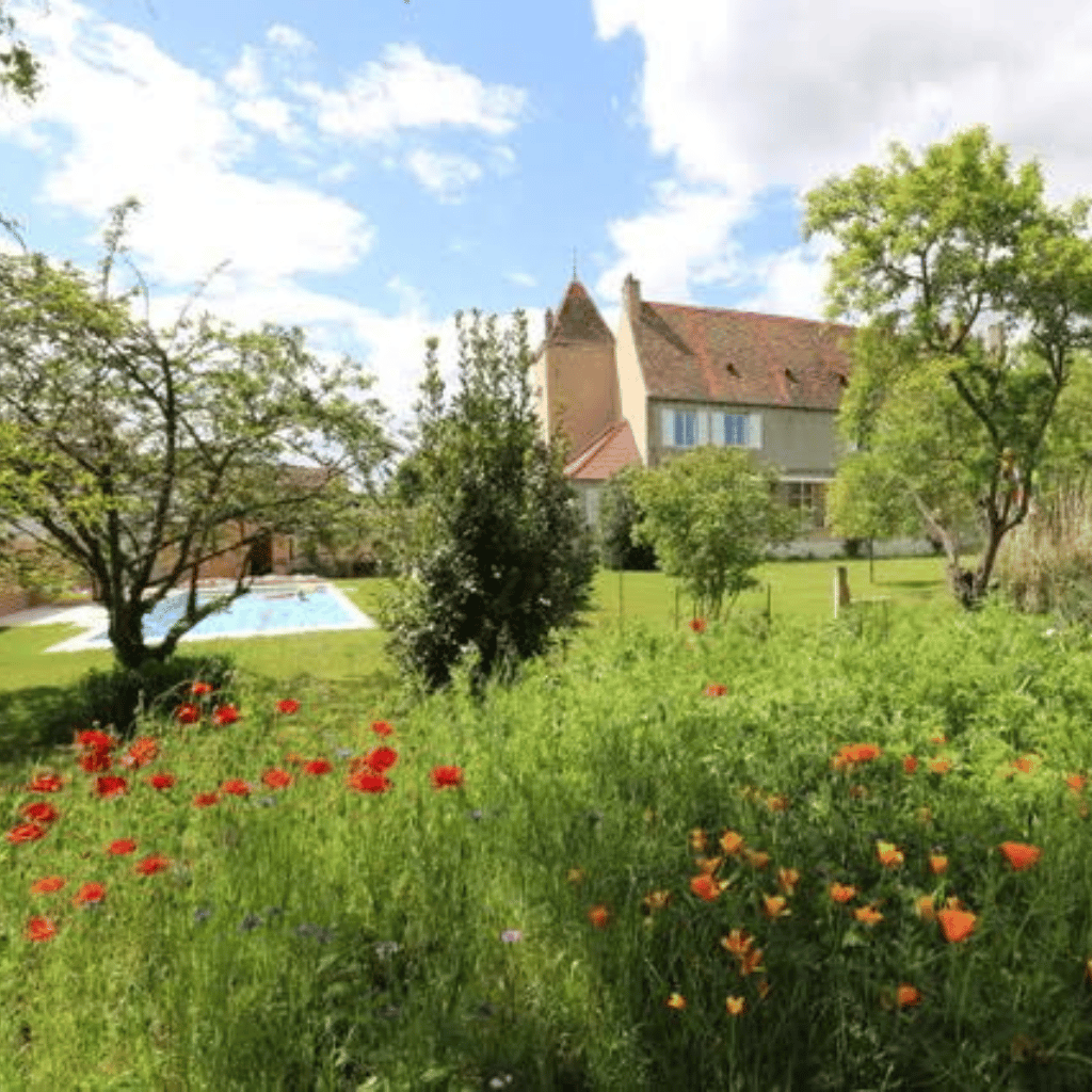 chateau de chatenay sance 1