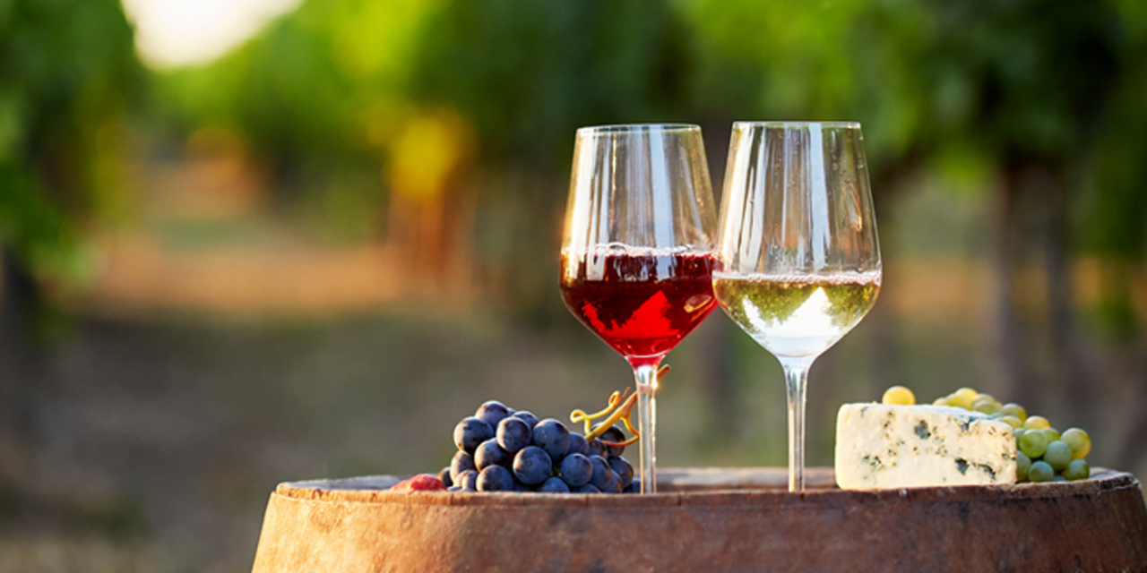 Les vins de France en fête à Charnay