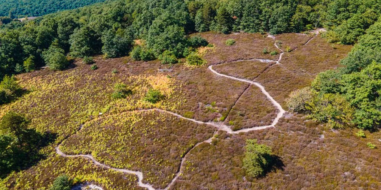 ENS : découvrez la lande de Nancelle à La Roche-Vineuse