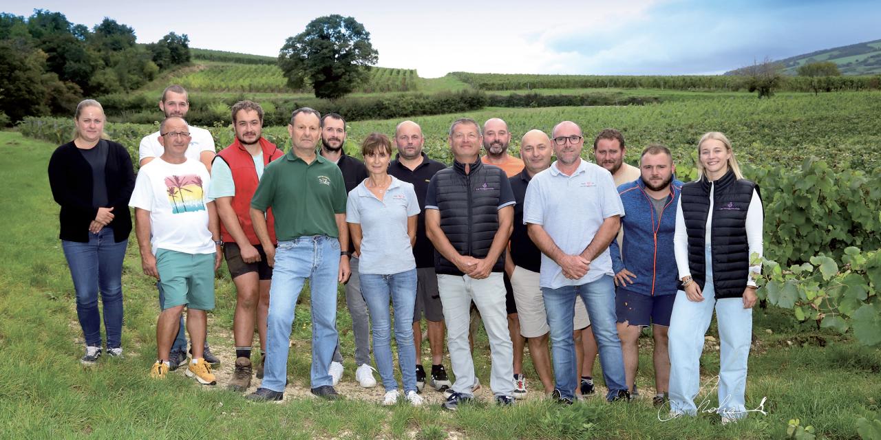 Enracinés : les Vignerons d&rsquo;Igé présentent leur cuvée, héritage du savoir-faire de la Cave