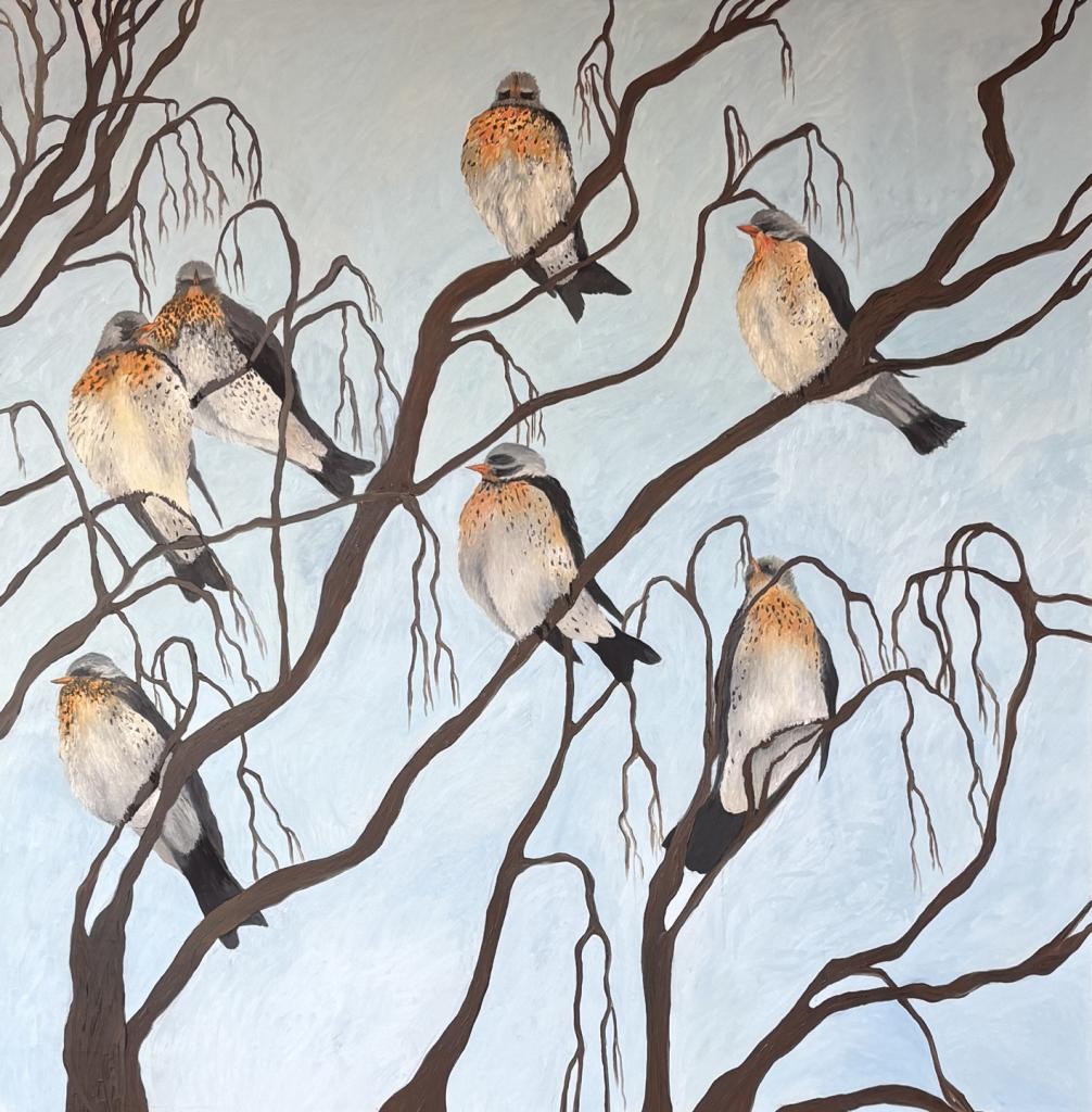 les oiseaux grives musiciennes cl alain pouillet 1