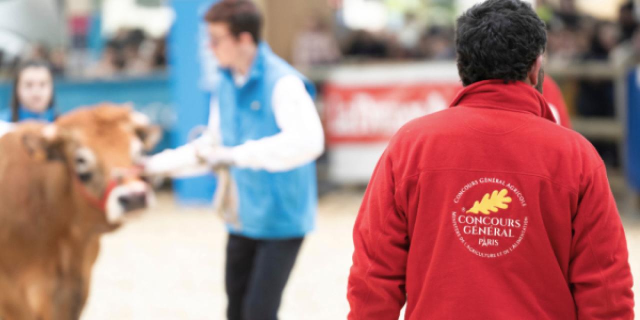 115 médailles et de nombreux prix pour la Saône-et-Loire