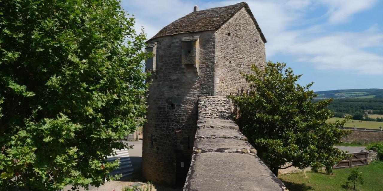 Réhabilitation de la tour Saint-Mayeul : la force du collectif à Cluny