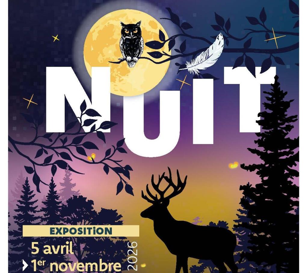 affiche nuit 01 1181x1050 1