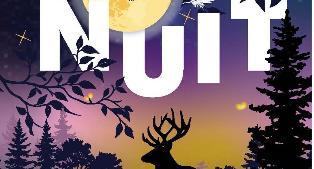 affiche nuit 01 1181x1050 copie