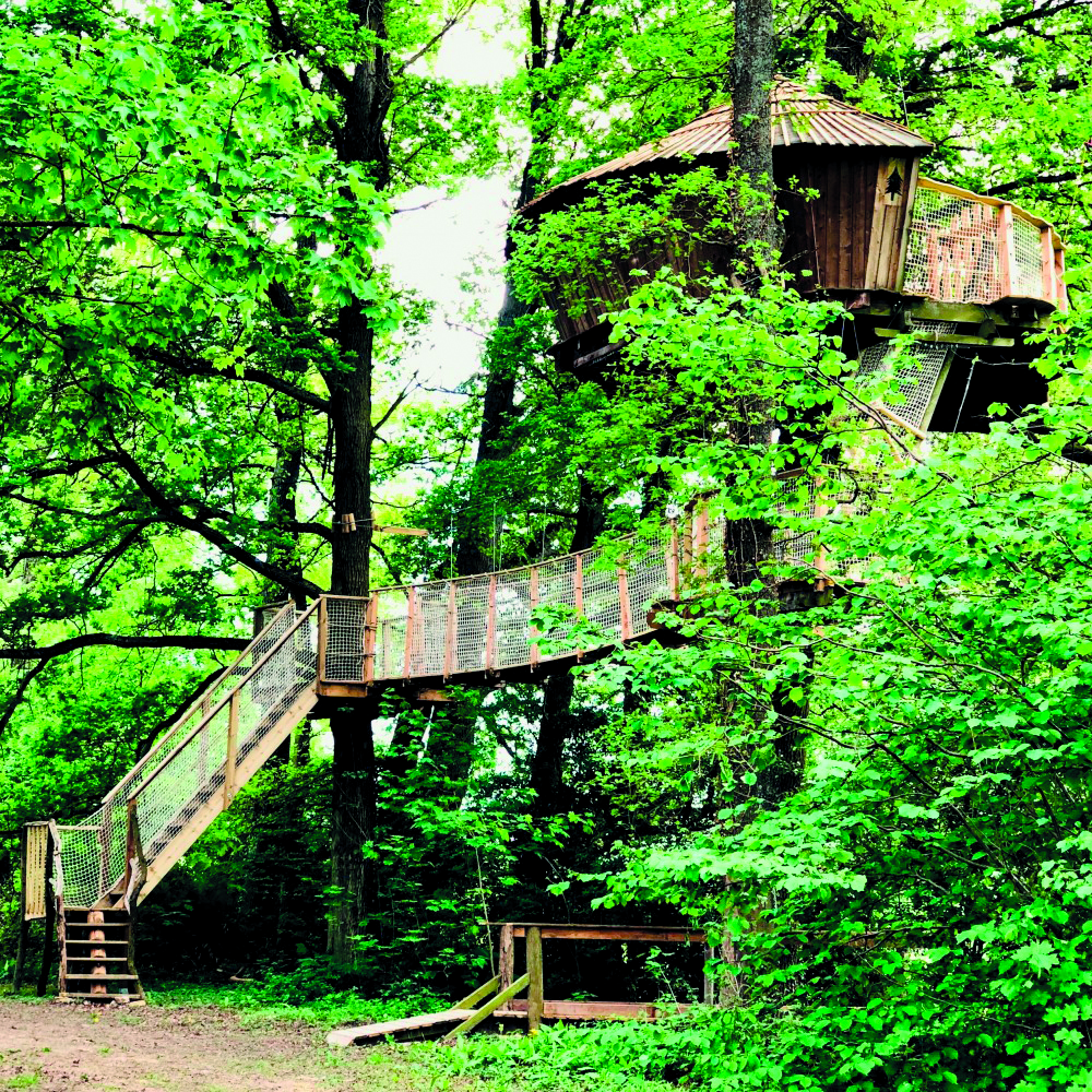 cabane 04