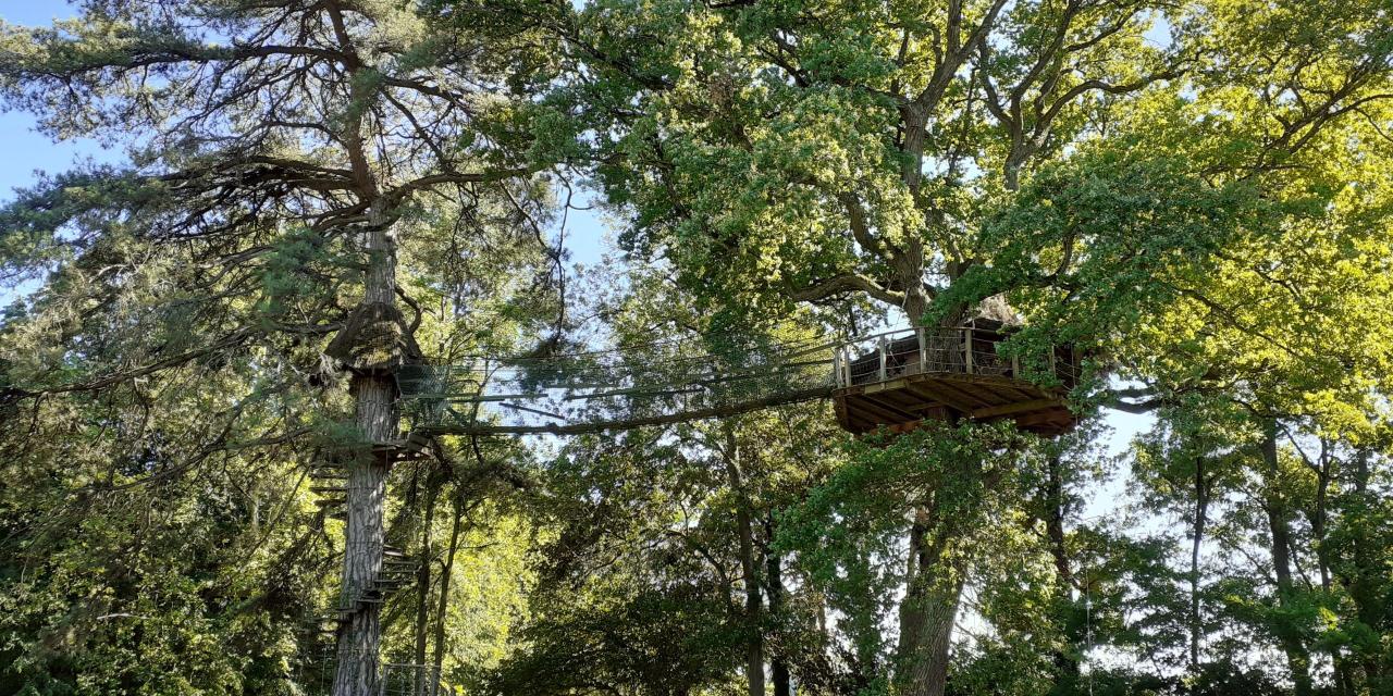 Et si vous passiez une nuit… dans les cabanes perchées de Viré ?