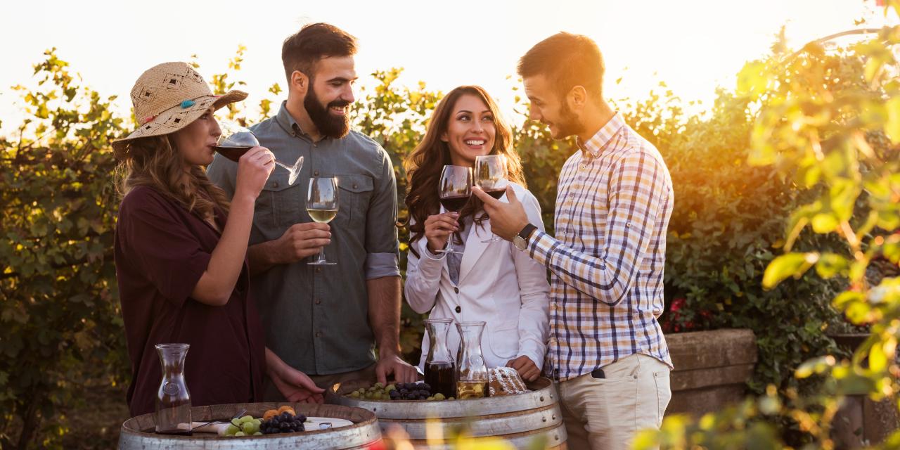Goûtez les vins où ils sont cultivés, avec la Cave de Viré