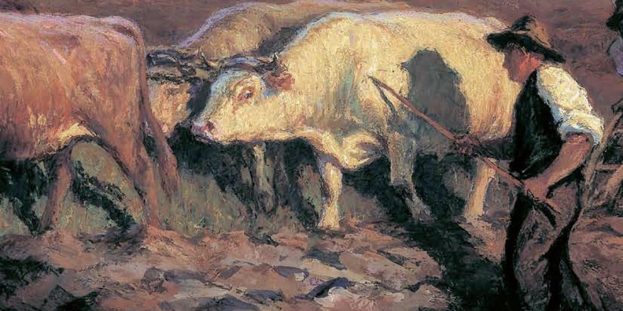 « Le monde rural dans l&rsquo;objectif » : la paysannerie par les artistes, aux Ursulines de Mâcon