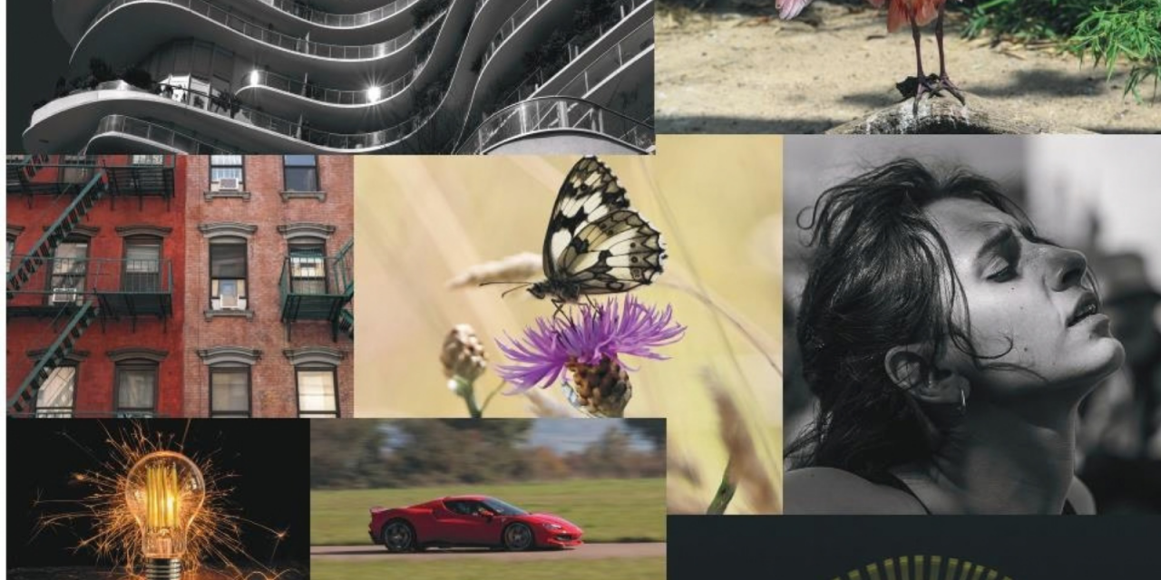 La semaine de la photographie fait son retour à Cluny du 20 au 25 octobre